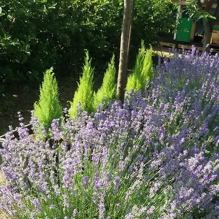 Villa Mara Eforie Nord