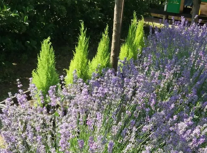 Villa Mara Eforie Nord